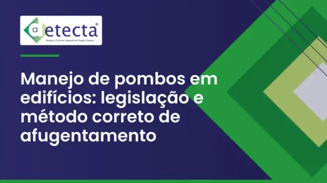 Capa do artigo sobre manejo de pombos em edifícios.