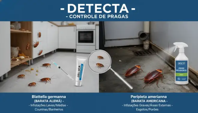 Diferentes espécies de baratas e métodos de controle que influenciam o custo da dedetização