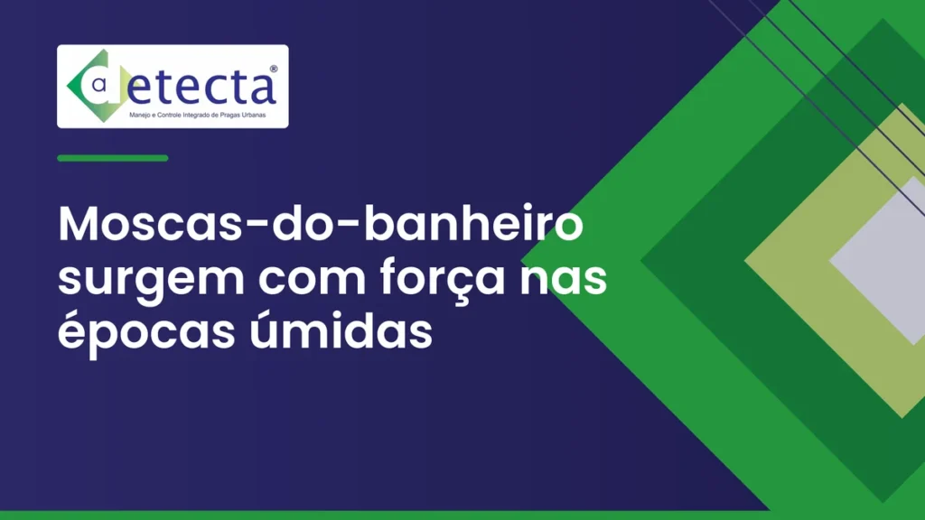Capa do artigo sobre moscas-do-banheiro surgem com força nas épocas úmidas.