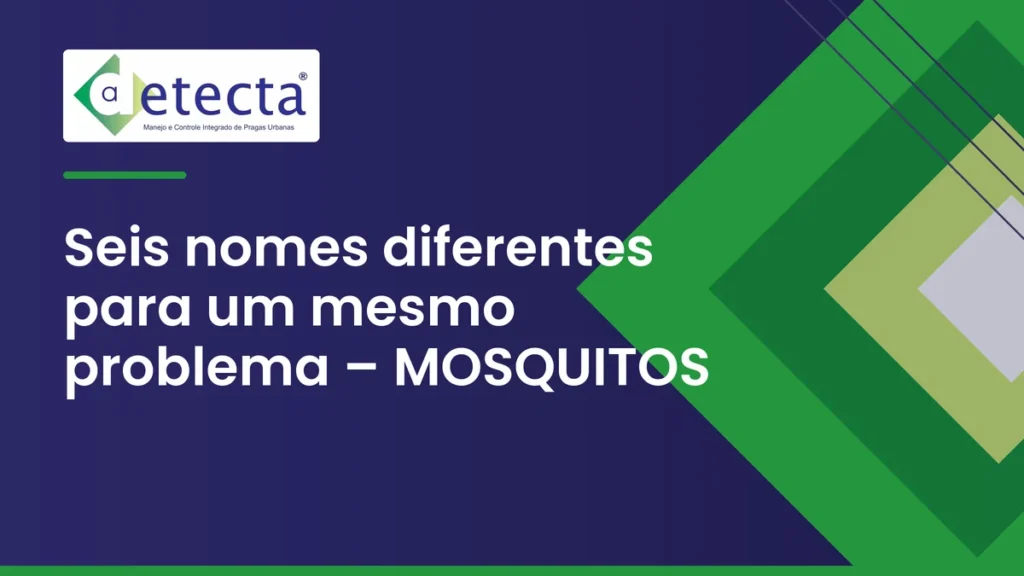 Capa do artigo sobre seis nomes diferentes para um mesmo problema – MOSQUITOS.