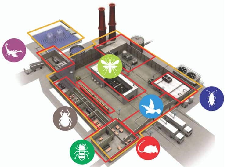 Mapa-servicos-1.jpg