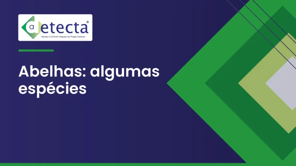 Capa do artigo sobre abelhas: algumas espécies.