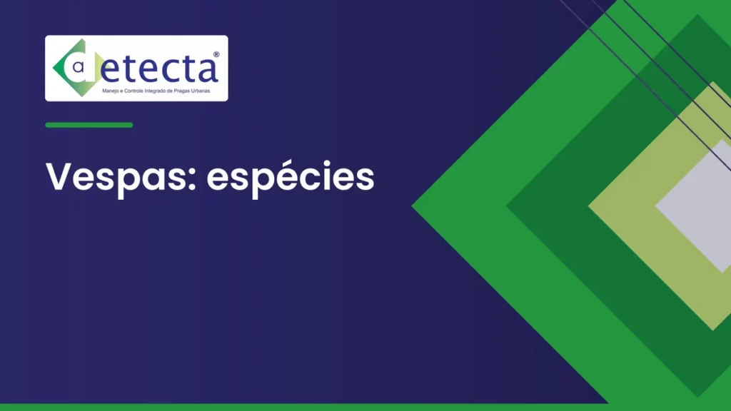 Capa do artigo sobre vespas: espécies.