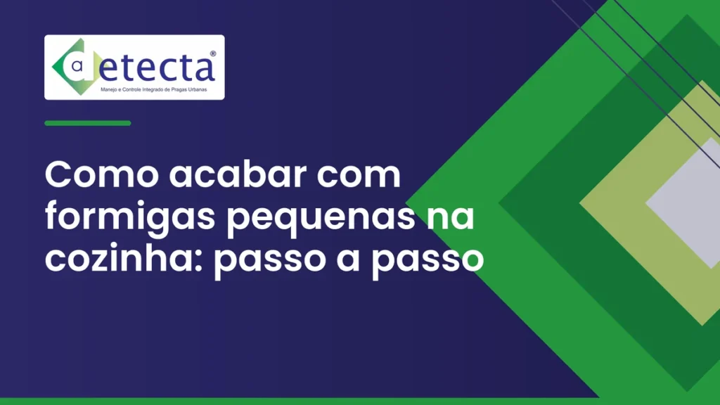 Capa do artigo sobre como acabar com formigas pequenas na cozinha.