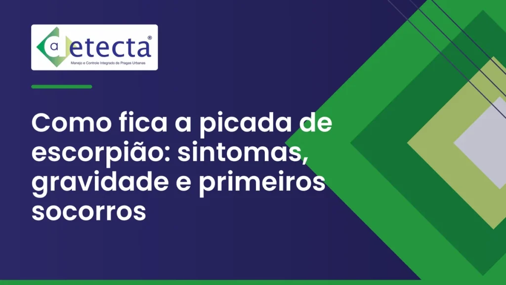 Capa do artigo sobre como fica a picada de escorpião.