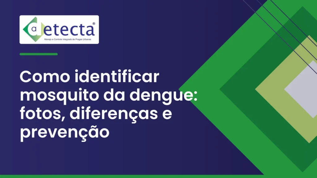 Capa do artigo sobre como identificar mosquito da dengue.