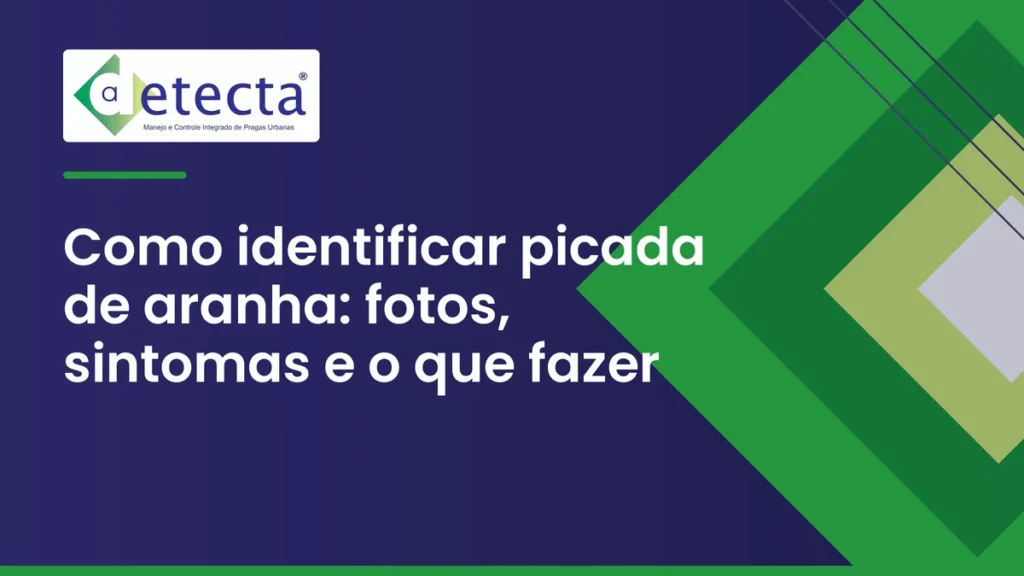 Capa do artigo sobre como identificar picada de aranha.